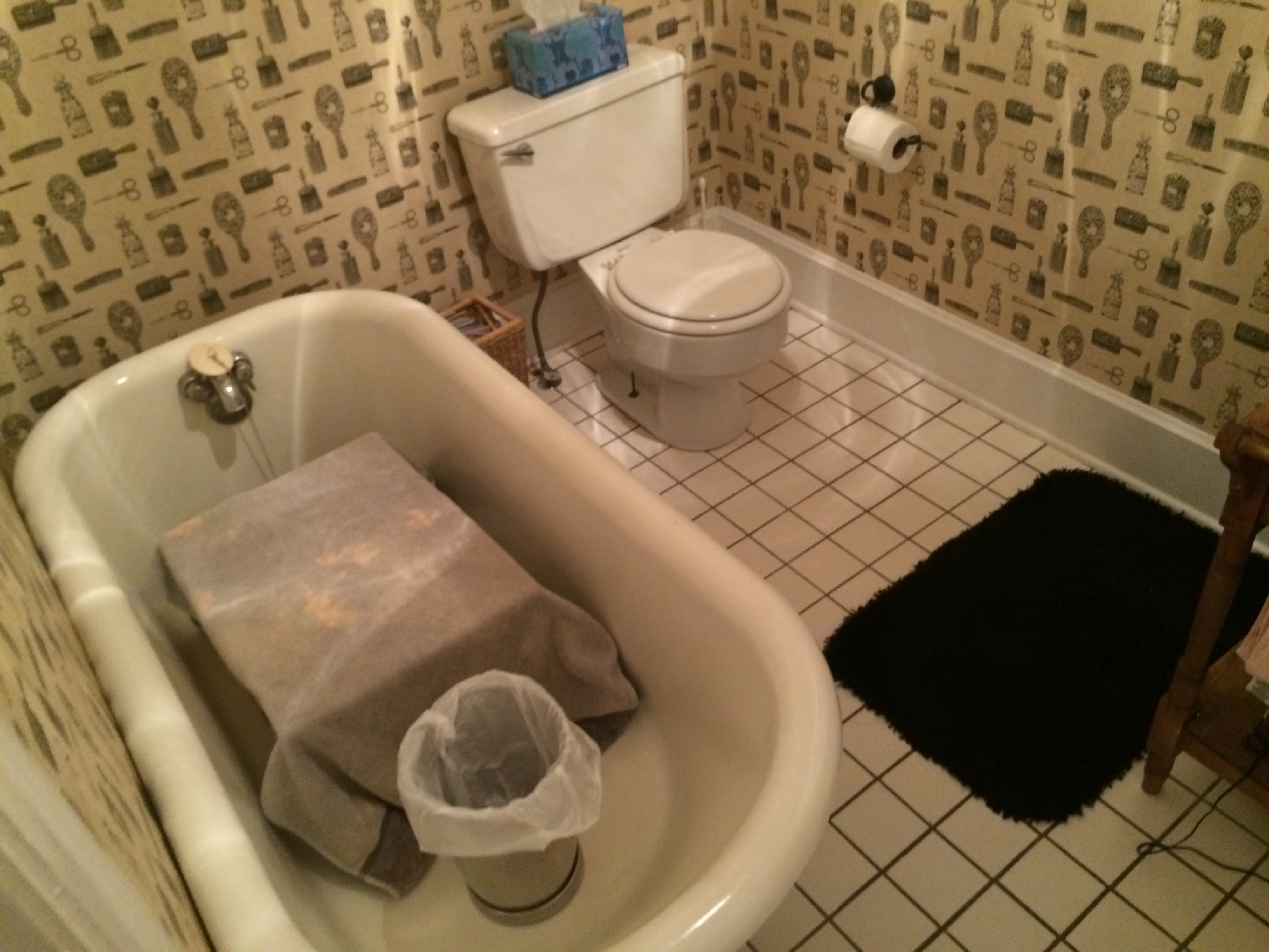 bathroom remodel - before